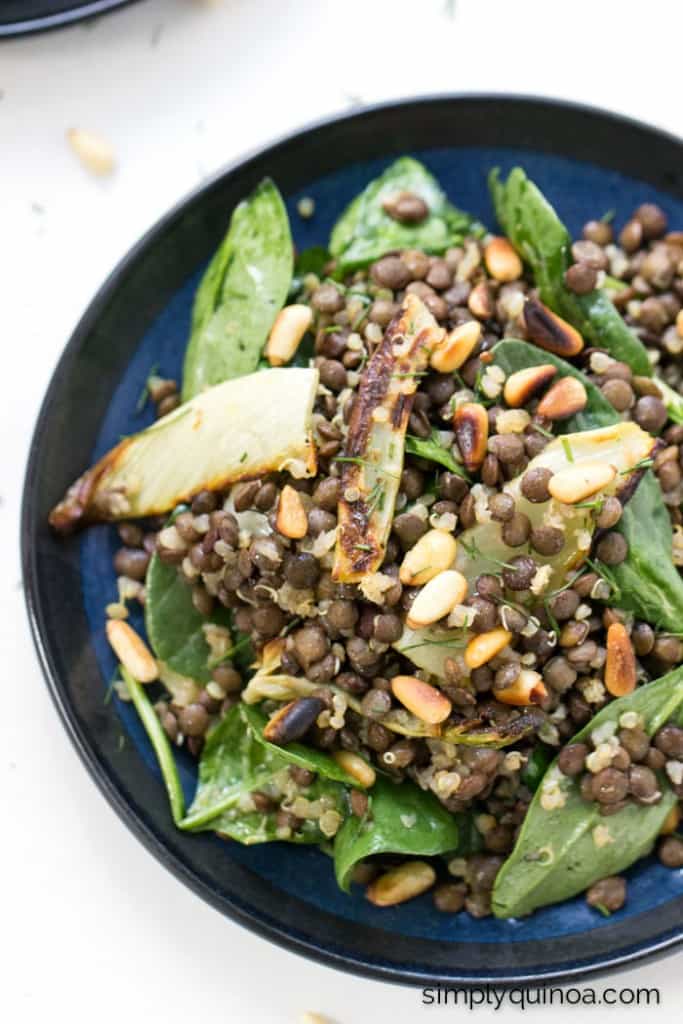 This warm lentil salad is tossed with a ton of other goodies to make it extra flavorful + delicious: quinoa, roasted fennel, spinach AND toasted pine nuts