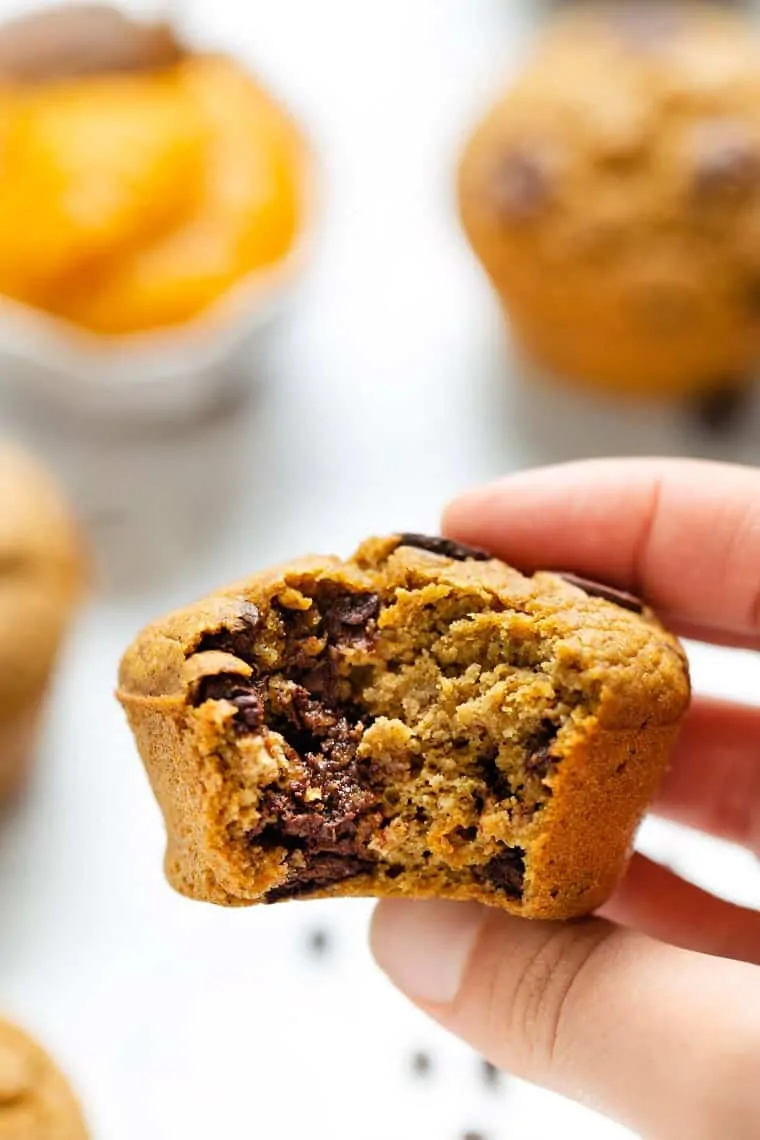 Hand holding vegan chocolate chip pumpkin muffin with bite taken out